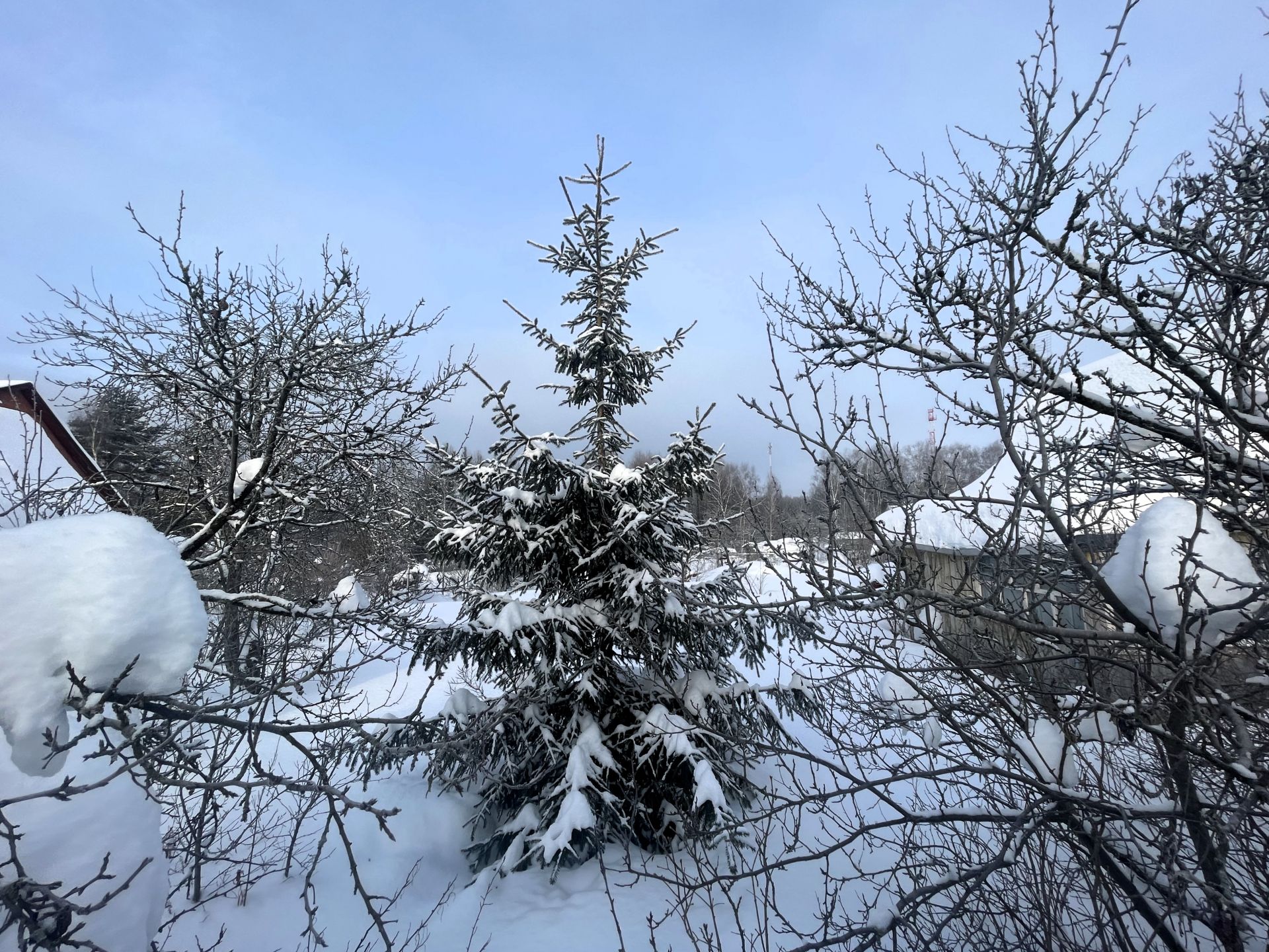 паспорт территории снт. земля снт учет. бланк описание земельного участка в снт 2016 года. земля снт учет. земля снт учет.