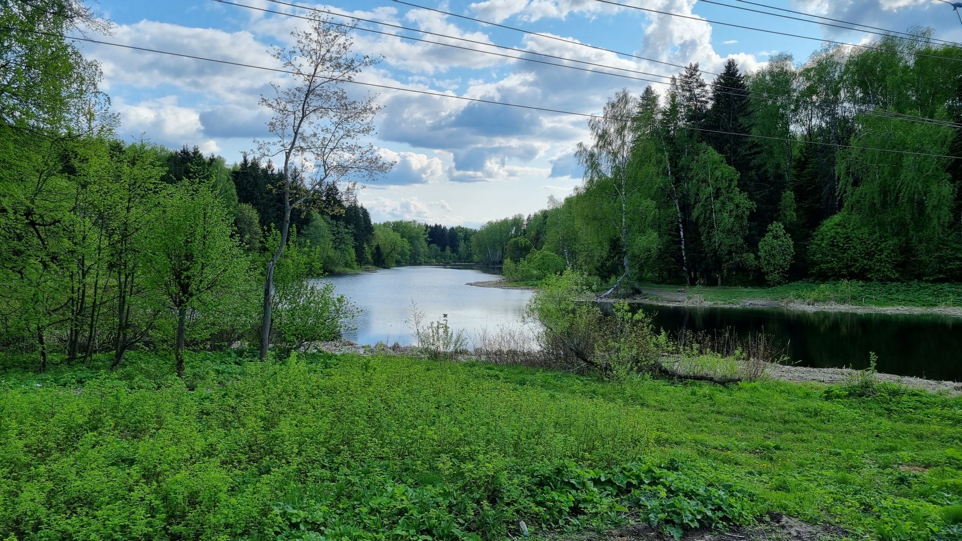 Земли сельхозназначения Московская область, городской округ Пушкинский, дачный потребительский кооператив Китежградъ