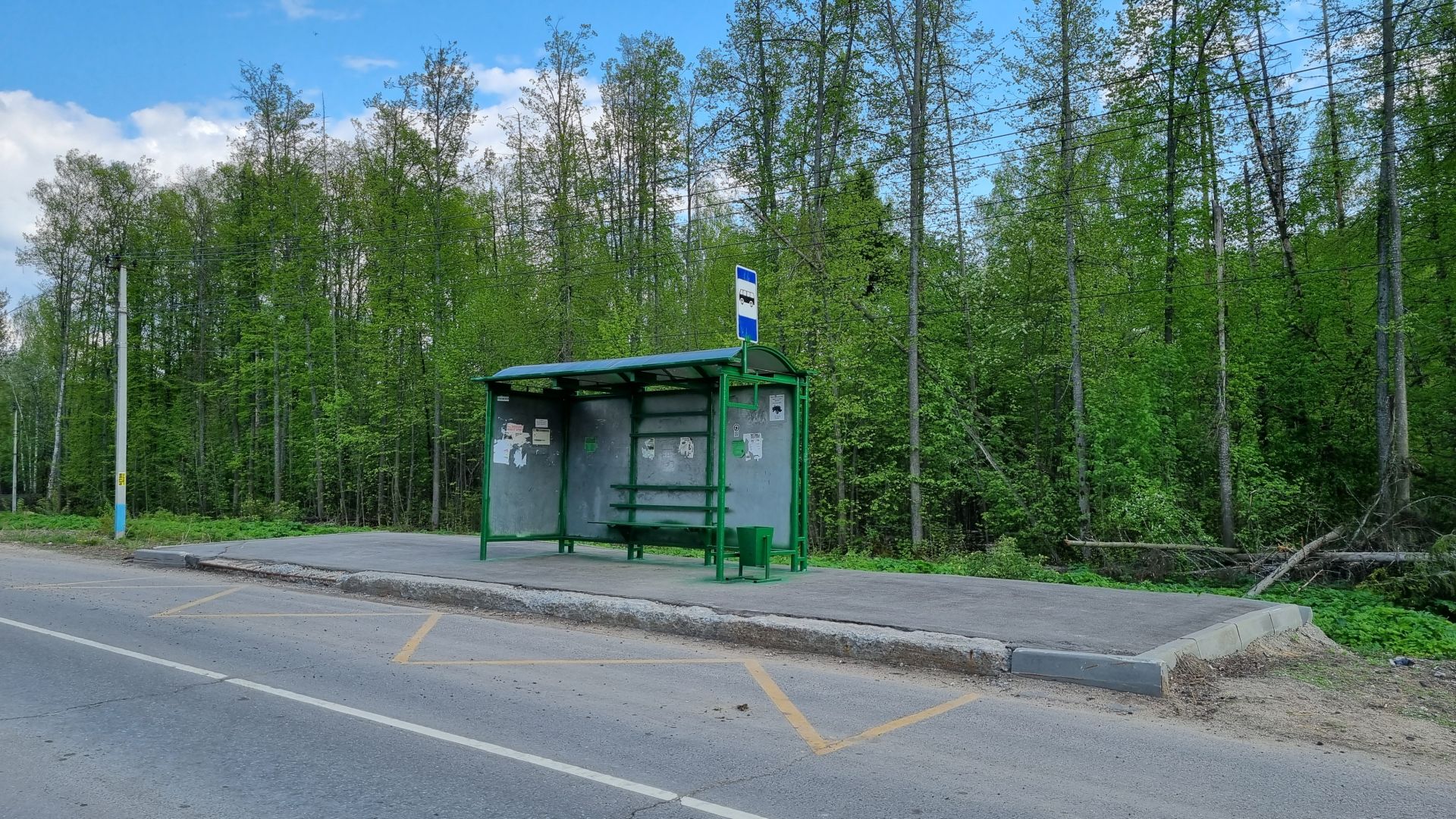 Земли сельхозназначения Московская область, городской округ Пушкинский, дачный потребительский кооператив Китежградъ