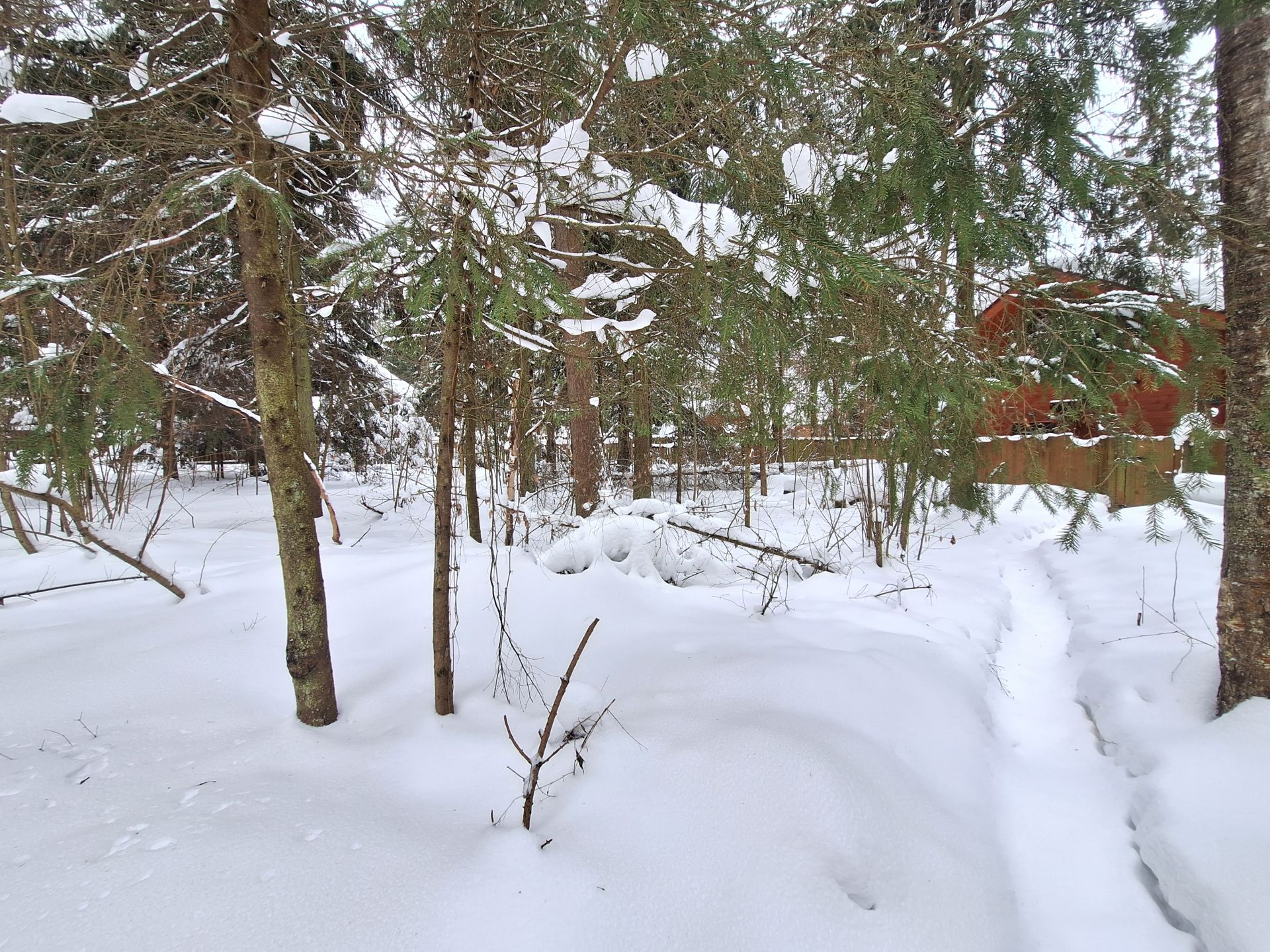 почва московского региона
