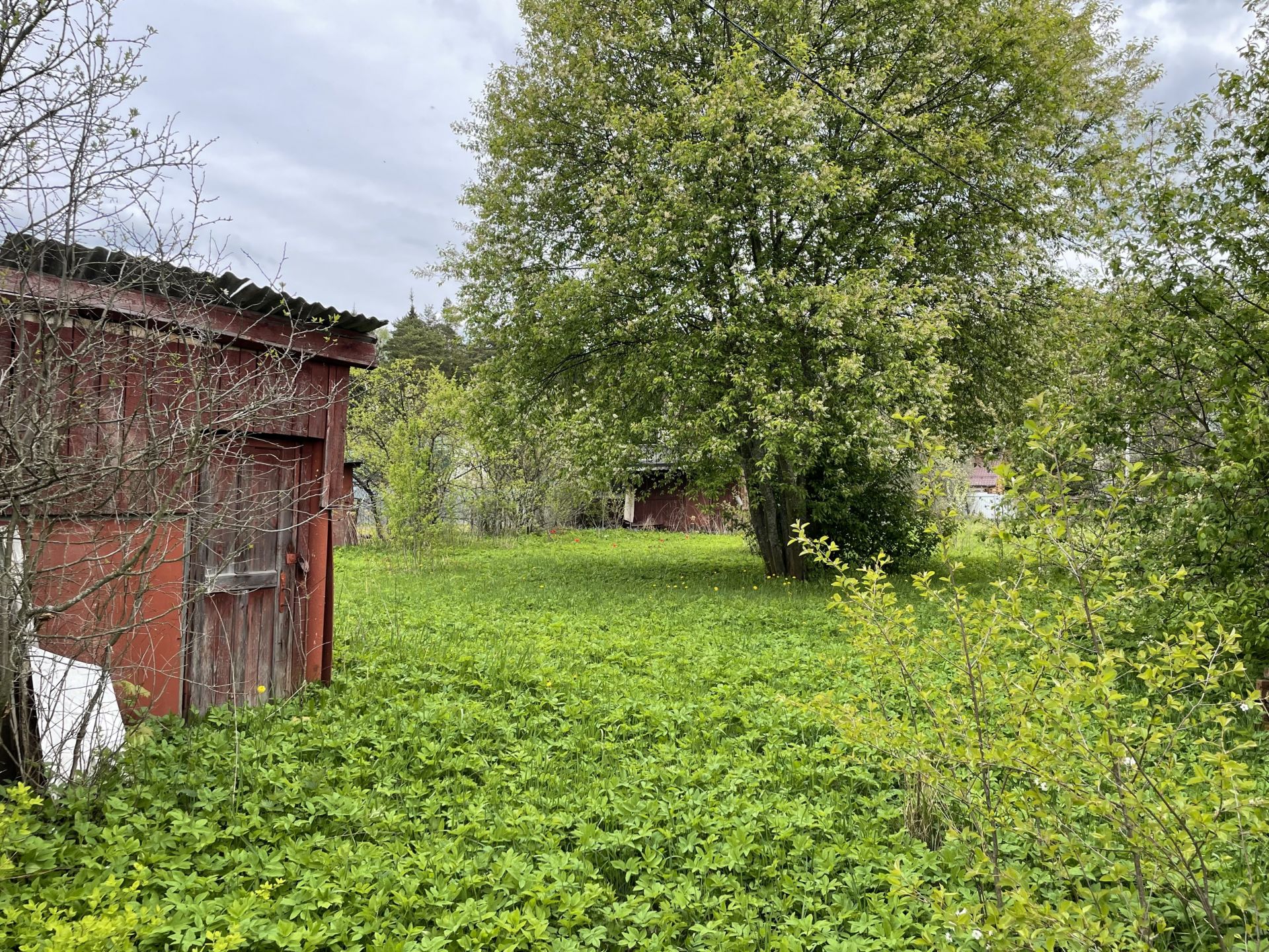 Земли поселения Московская область, городской округ Лосино-Петровский, деревня Орловка, Новая улица