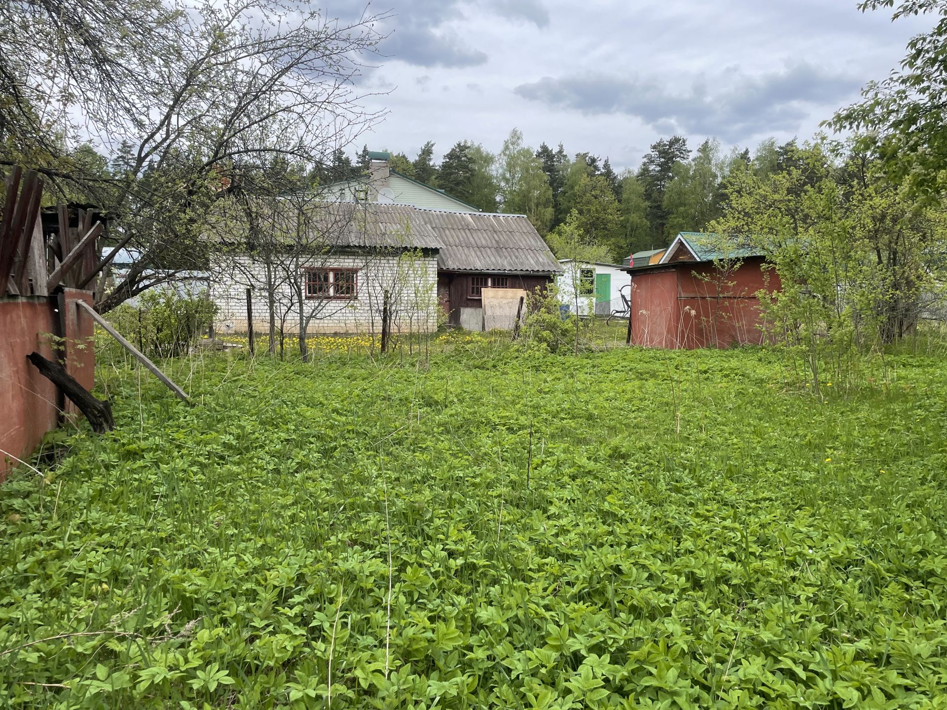 Земли поселения Московская область, городской округ Лосино-Петровский, деревня Орловка, Новая улица