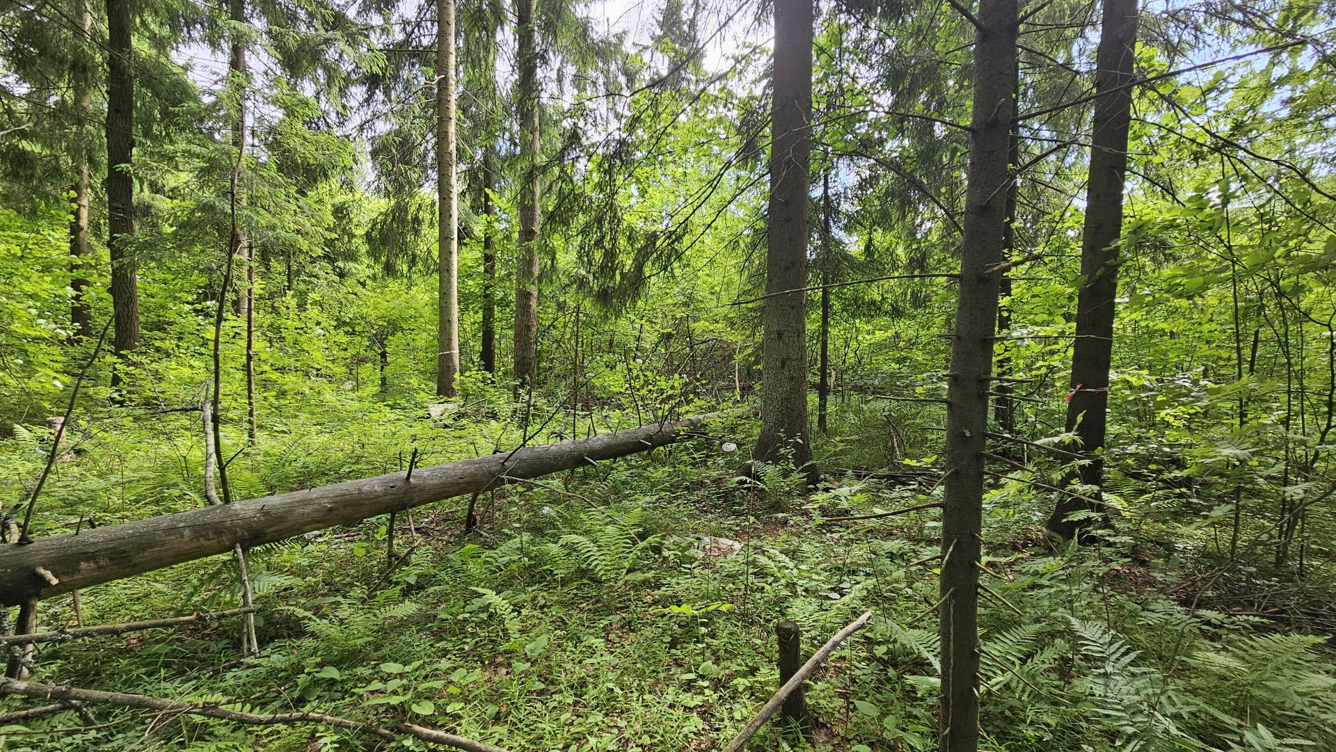 Земли поселения Московская область, Наро-Фоминский городской округ, деревня Селятино