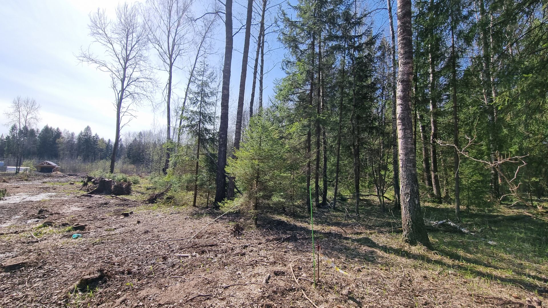 Земли поселения Московская область, городской округ Пушкинский, деревня Могильцы, микрорайон Пушкинский Лес