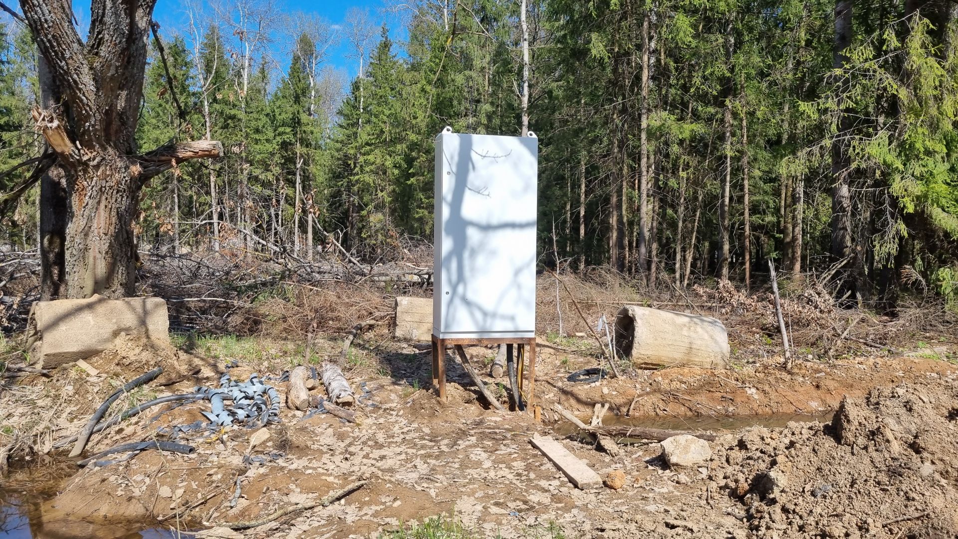 Земли поселения Московская область, городской округ Пушкинский, деревня Могильцы, микрорайон Пушкинский Лес