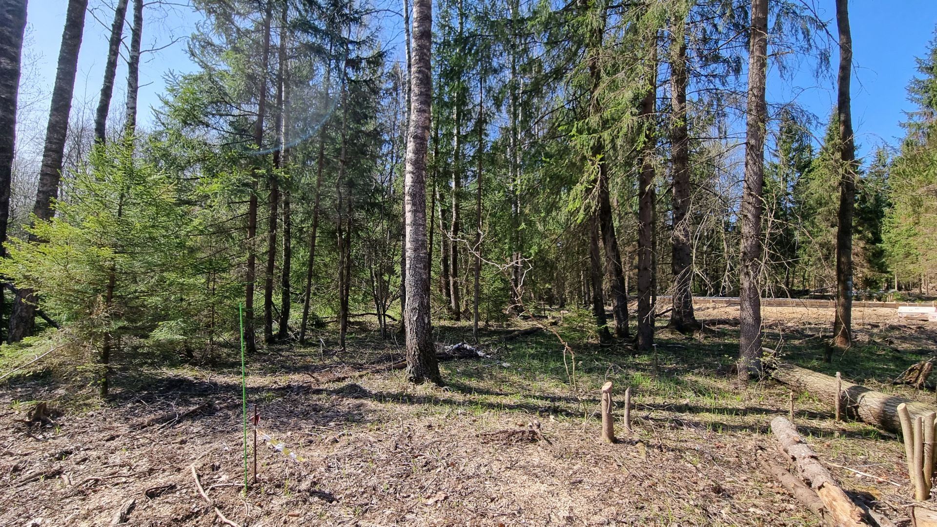 Земли поселения Московская область, городской округ Пушкинский, деревня Могильцы, микрорайон Пушкинский Лес