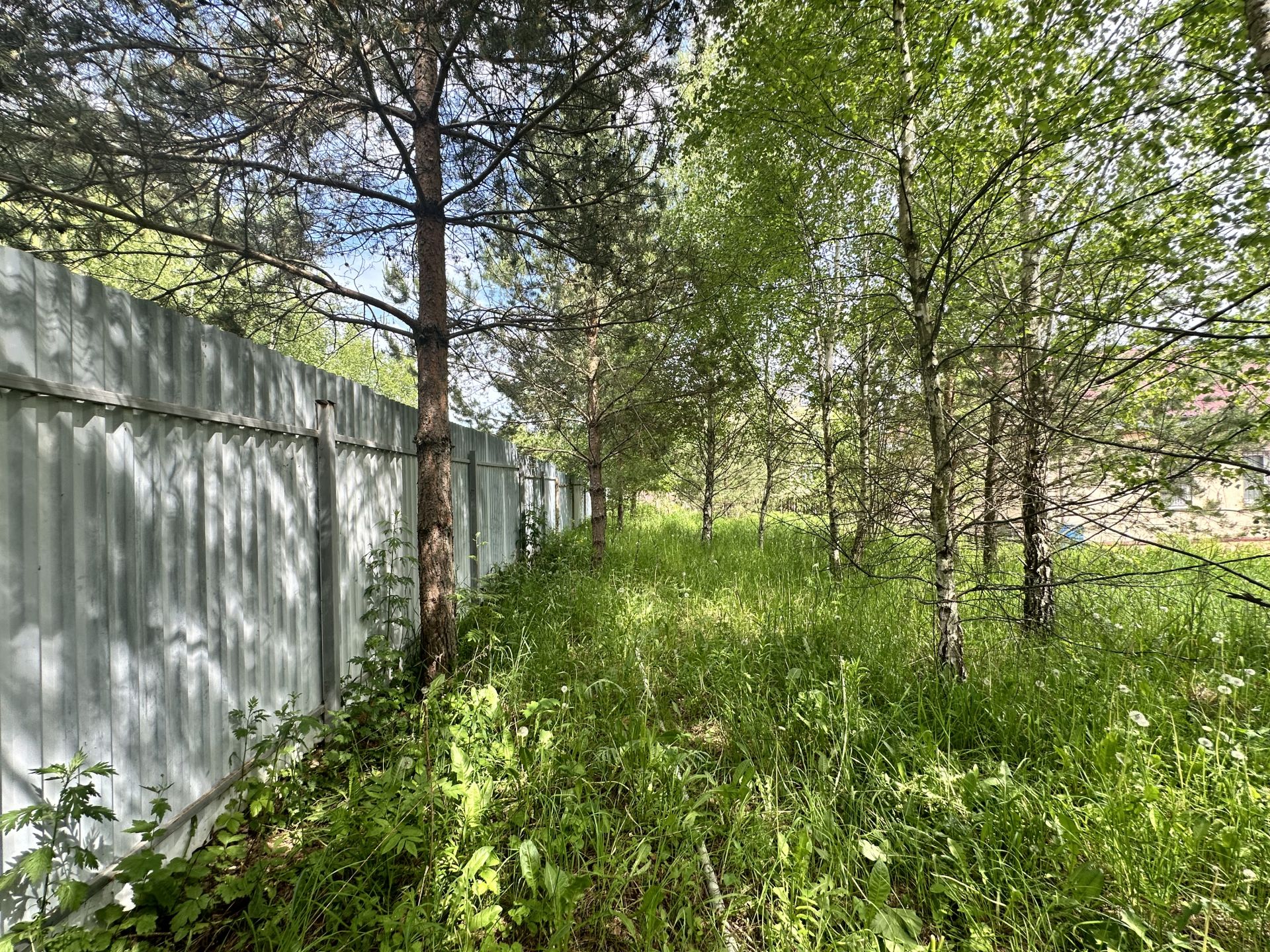 Дом Московская область, городской округ Чехов, деревня Плешкино, 88