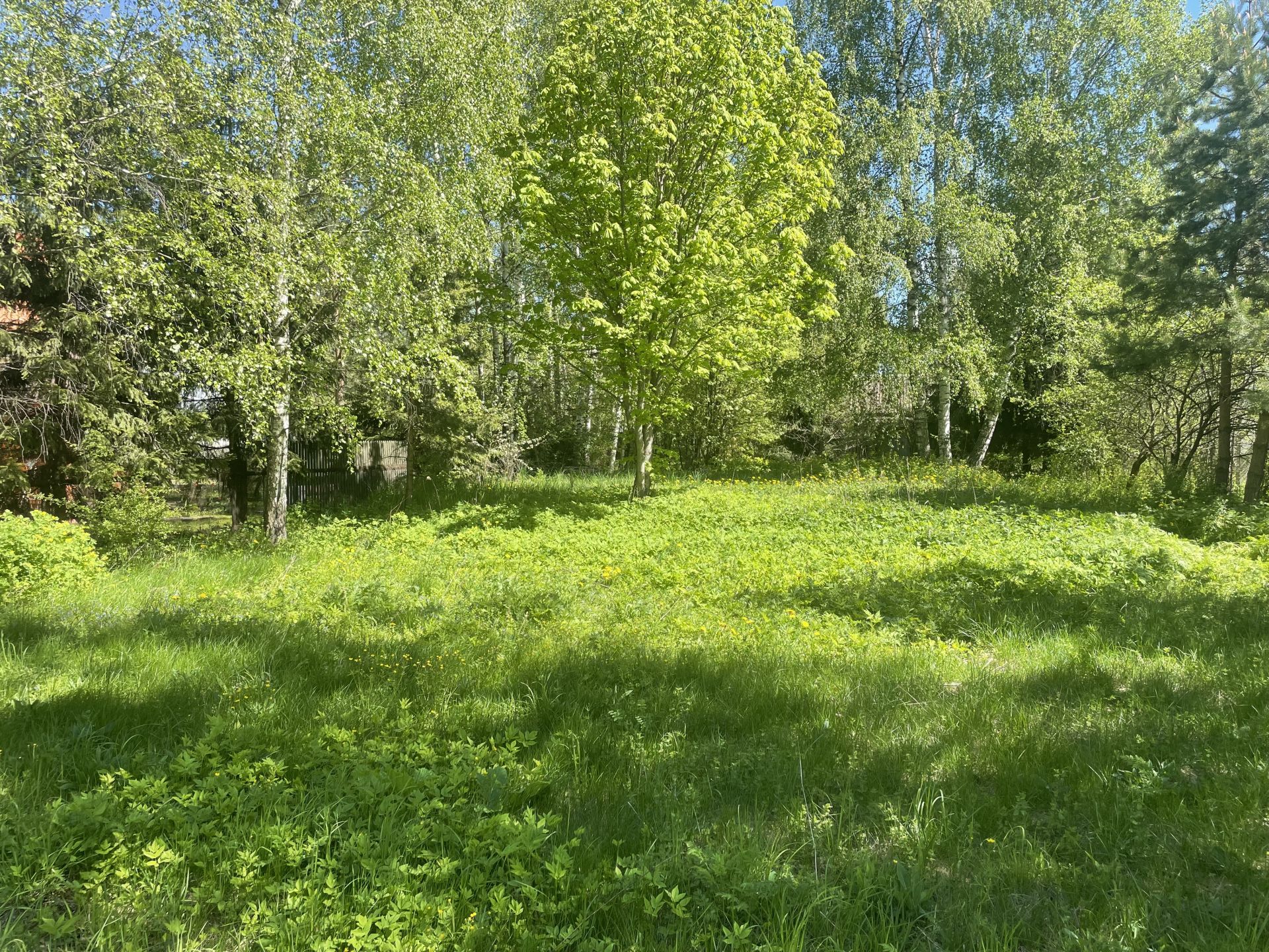 Земли поселения Московская область, городской округ Щёлково, деревня Мишнево, Советская улица