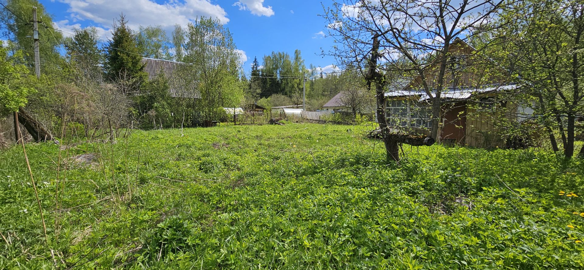 Земли сельхозназначения Московская область, Рузский городской округ, садоводческое некоммерческое товарищество Мосгоргеотрест