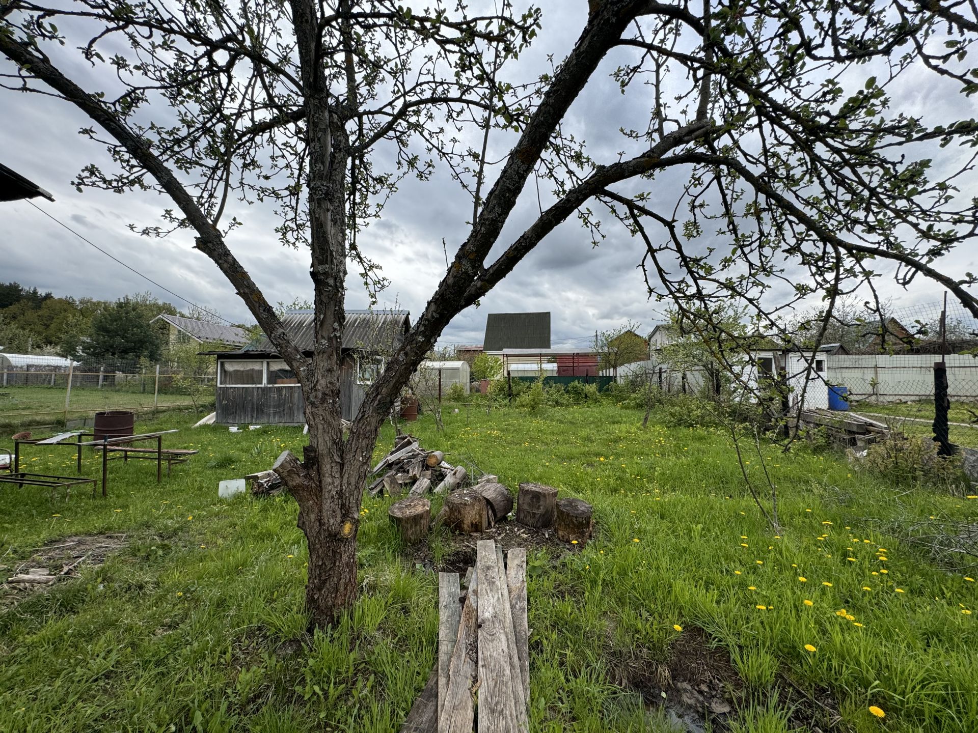 Земли поселения Московская область, городской округ Подольск, СНТ Флора