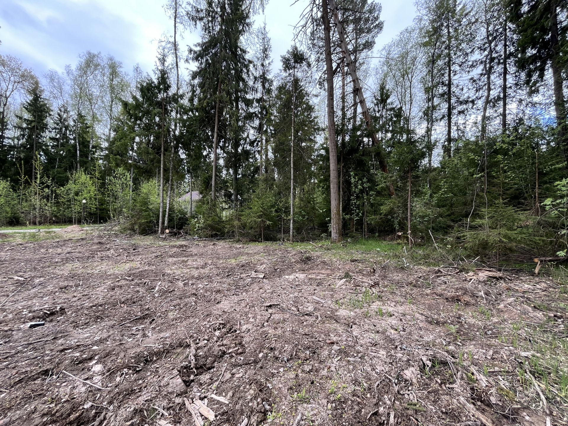 Земли поселения Московская область, городской округ Пушкинский, деревня Могильцы, микрорайон Пушкинский Лес