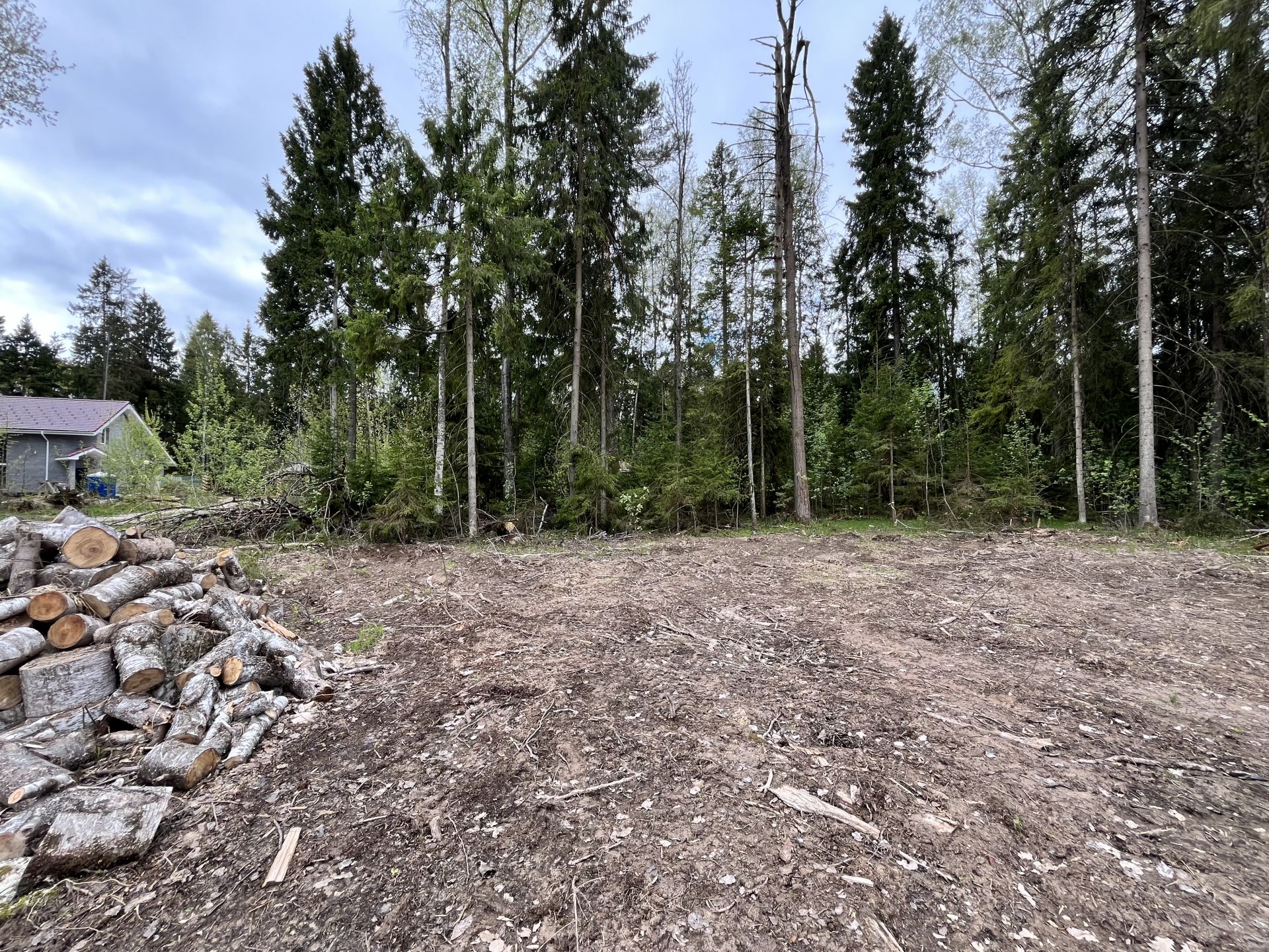 Земли поселения Московская область, городской округ Пушкинский, деревня Могильцы, микрорайон Пушкинский Лес