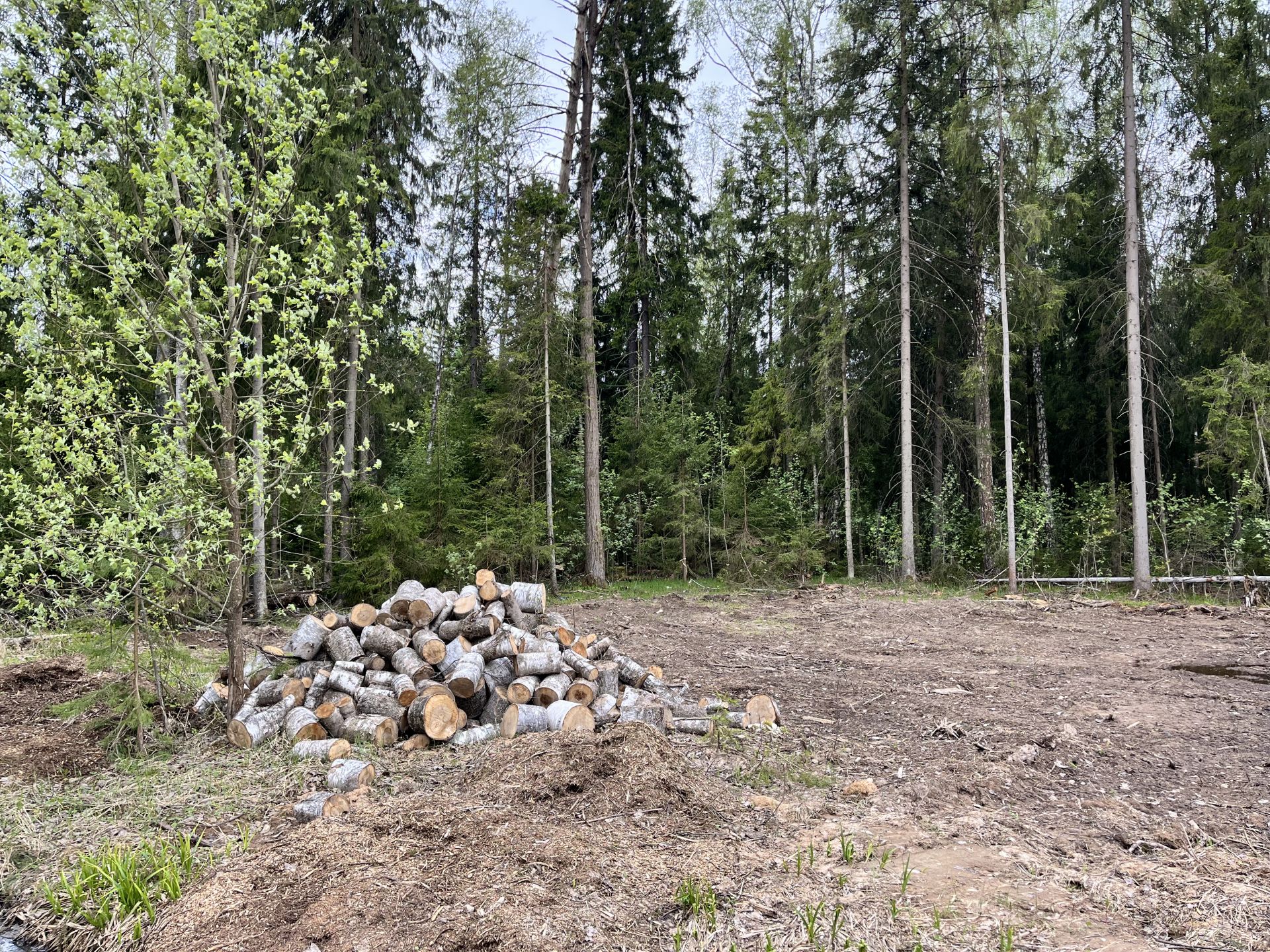 Земли поселения Московская область, городской округ Пушкинский, деревня Могильцы, микрорайон Пушкинский Лес