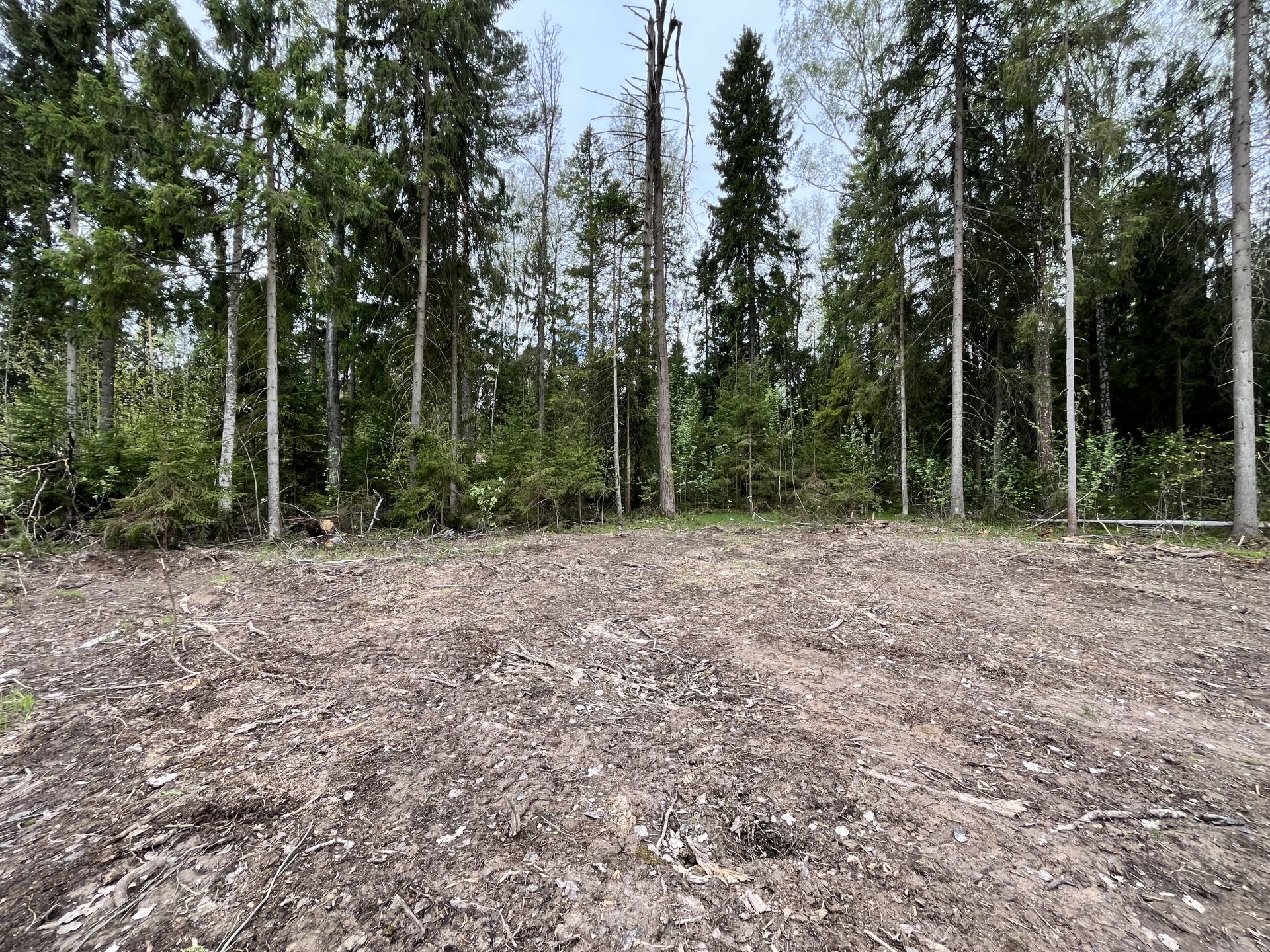 Земли поселения Московская область, городской округ Пушкинский, деревня Могильцы, микрорайон Пушкинский Лес