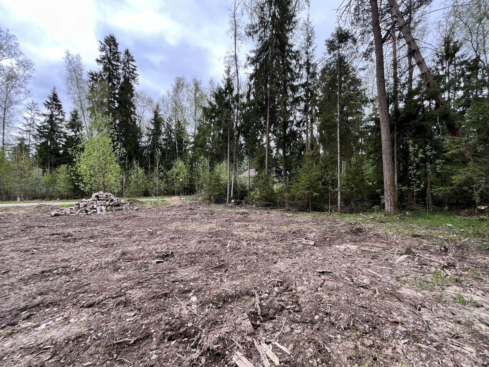 Земли поселения Московская область, городской округ Пушкинский, деревня Могильцы, микрорайон Пушкинский Лес