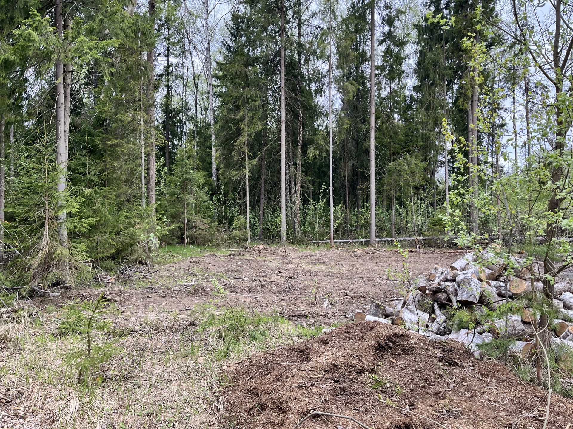 Земли поселения Московская область, городской округ Пушкинский, деревня Могильцы, микрорайон Пушкинский Лес