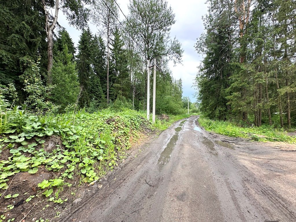 Земли поселения Московская область, Дмитровский городской округ, коттеджный посёлок Лесная Быль, Трудовая улица