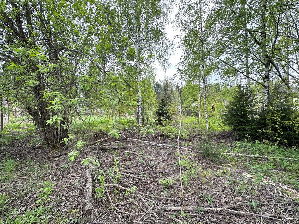 Земли поселения Московская область, городской округ Мытищи, посёлок Николо-Прозорово