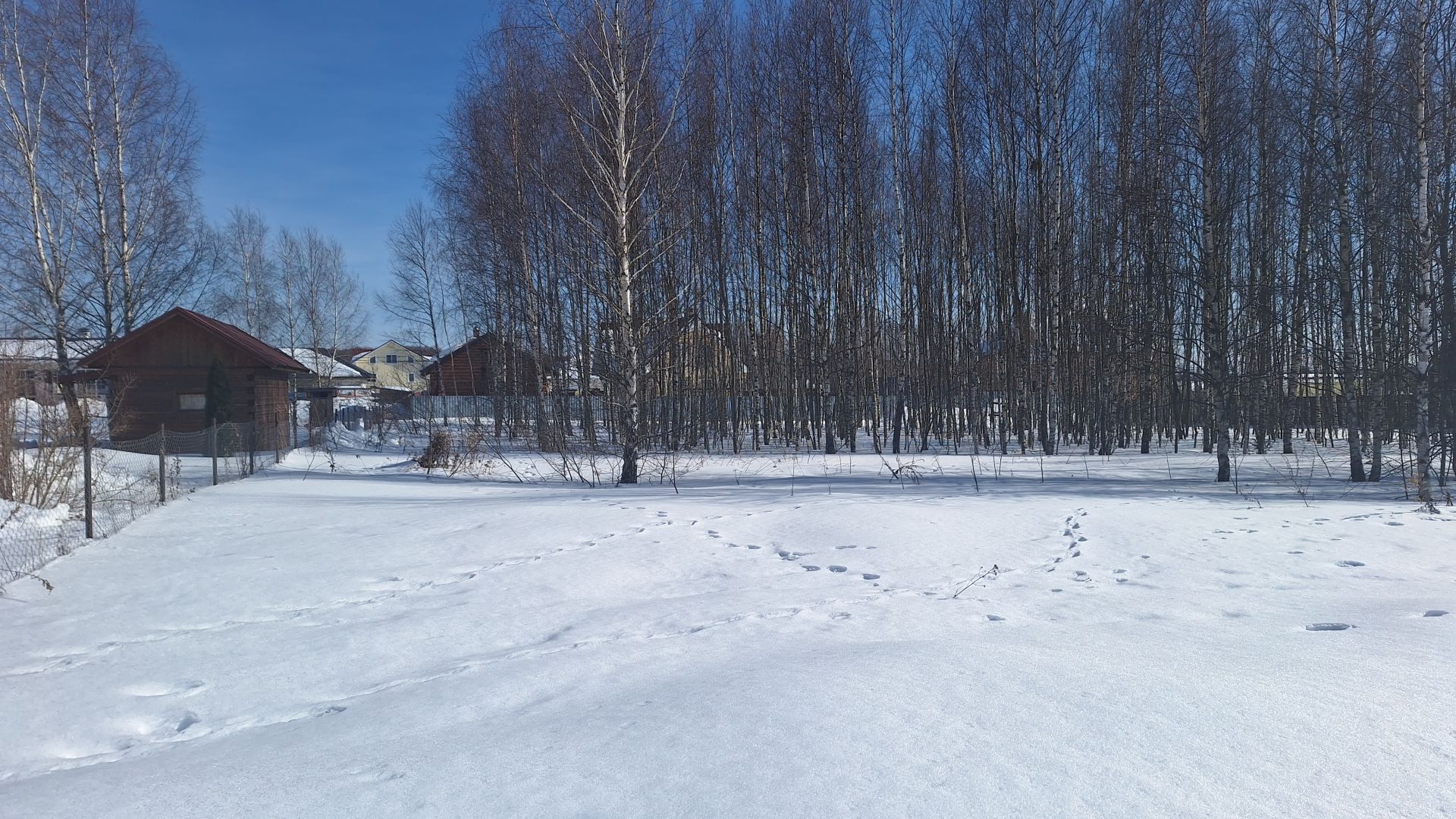 Земли поселения Московская область, городской округ Чехов, деревня Алексеевка, Вербная улица