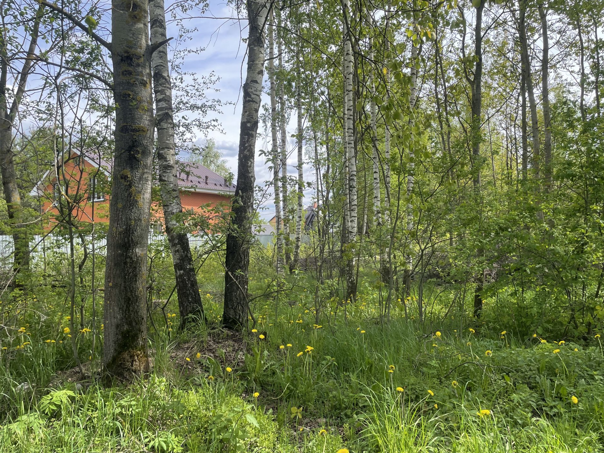 Земли поселения Московская область, Богородский городской округ, деревня Ельня, Пролетарская улица