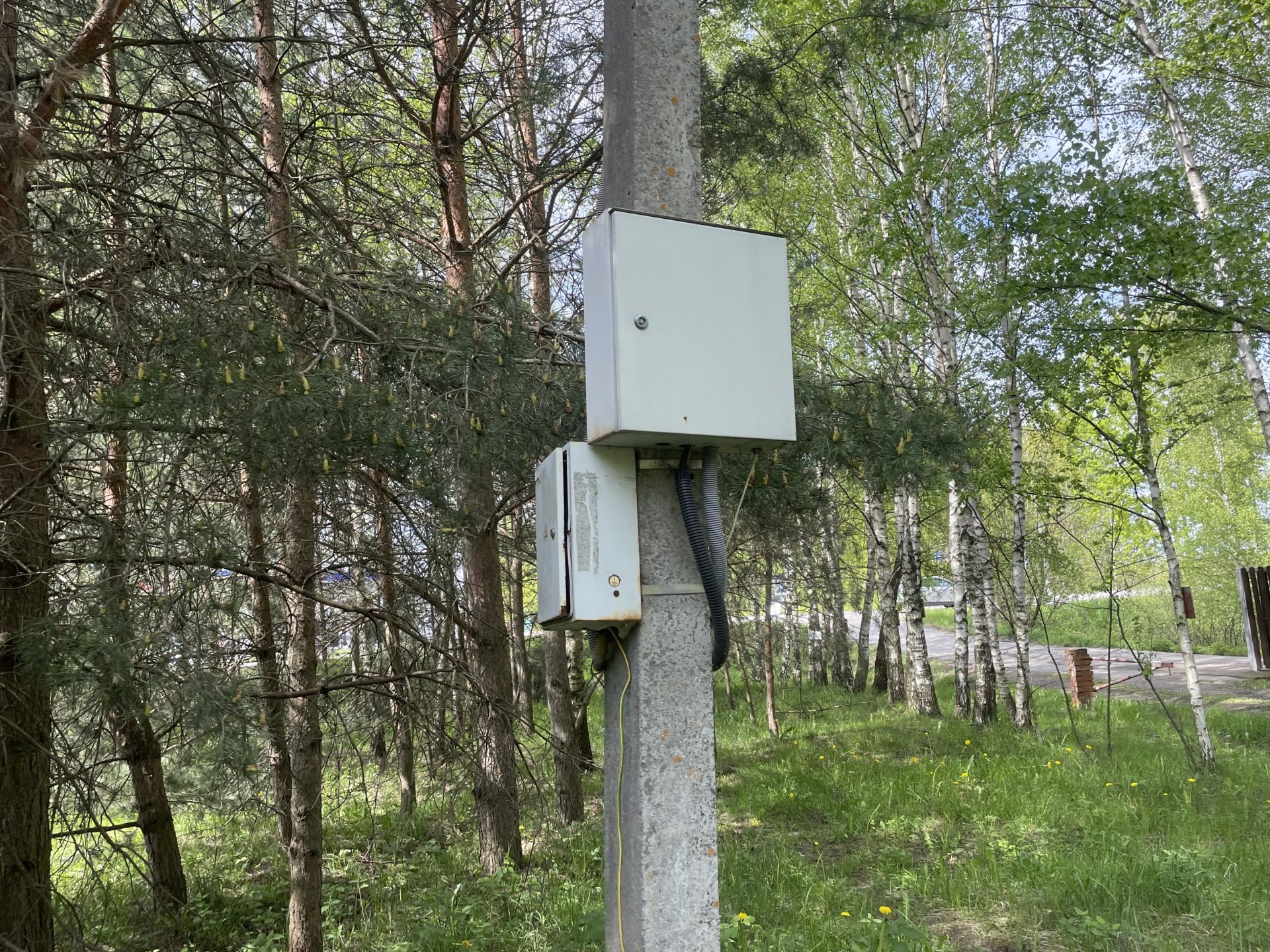 Земли поселения Московская область, Богородский городской округ, деревня Ельня, Пролетарская улица