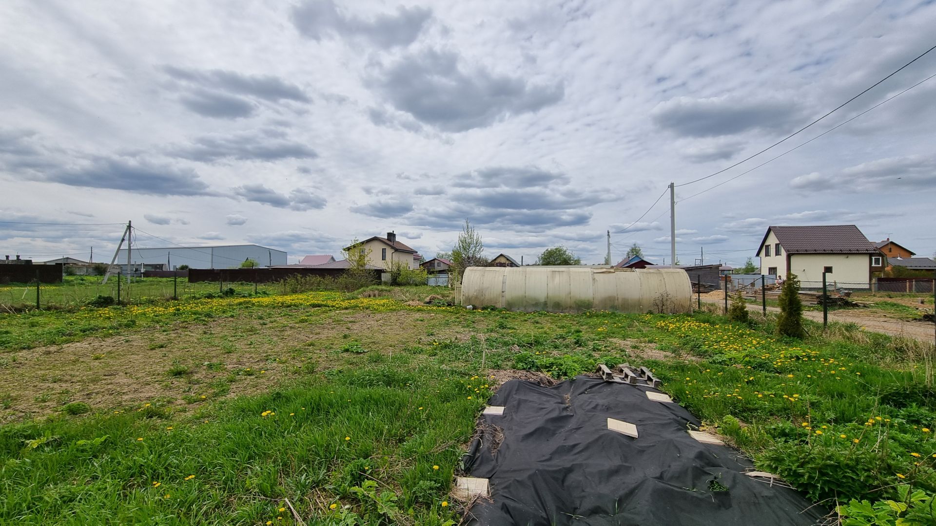 Земли поселения Московская область, городской округ Пушкинский, село Царёво