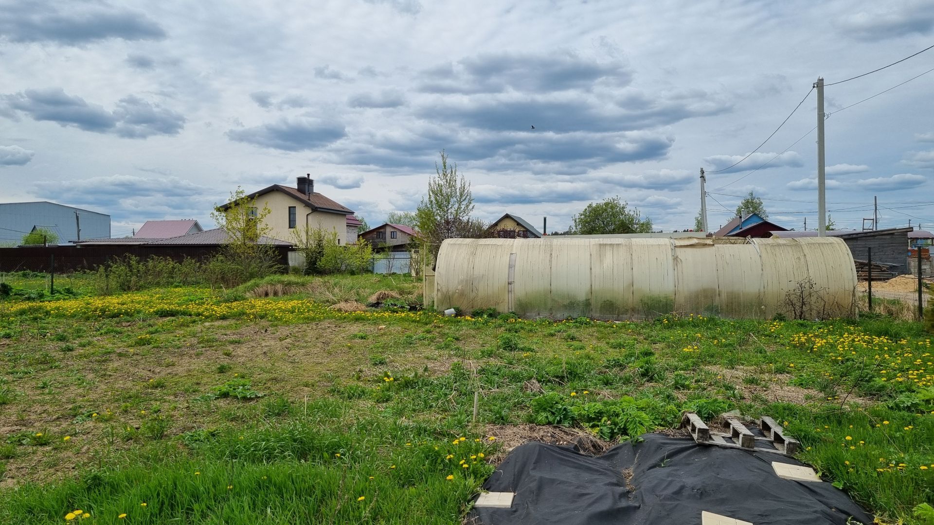 Земли поселения Московская область, городской округ Пушкинский, село Царёво