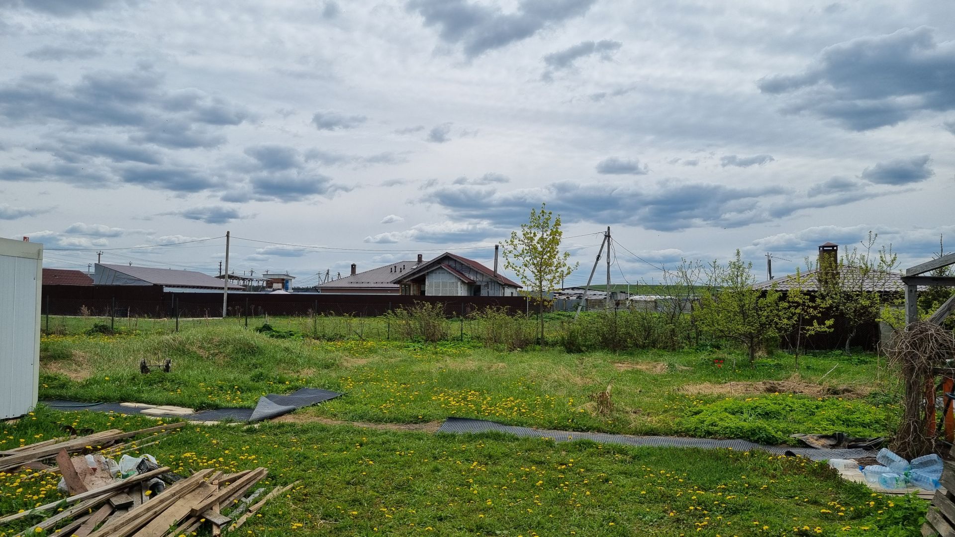 Земли поселения Московская область, городской округ Пушкинский, село Царёво