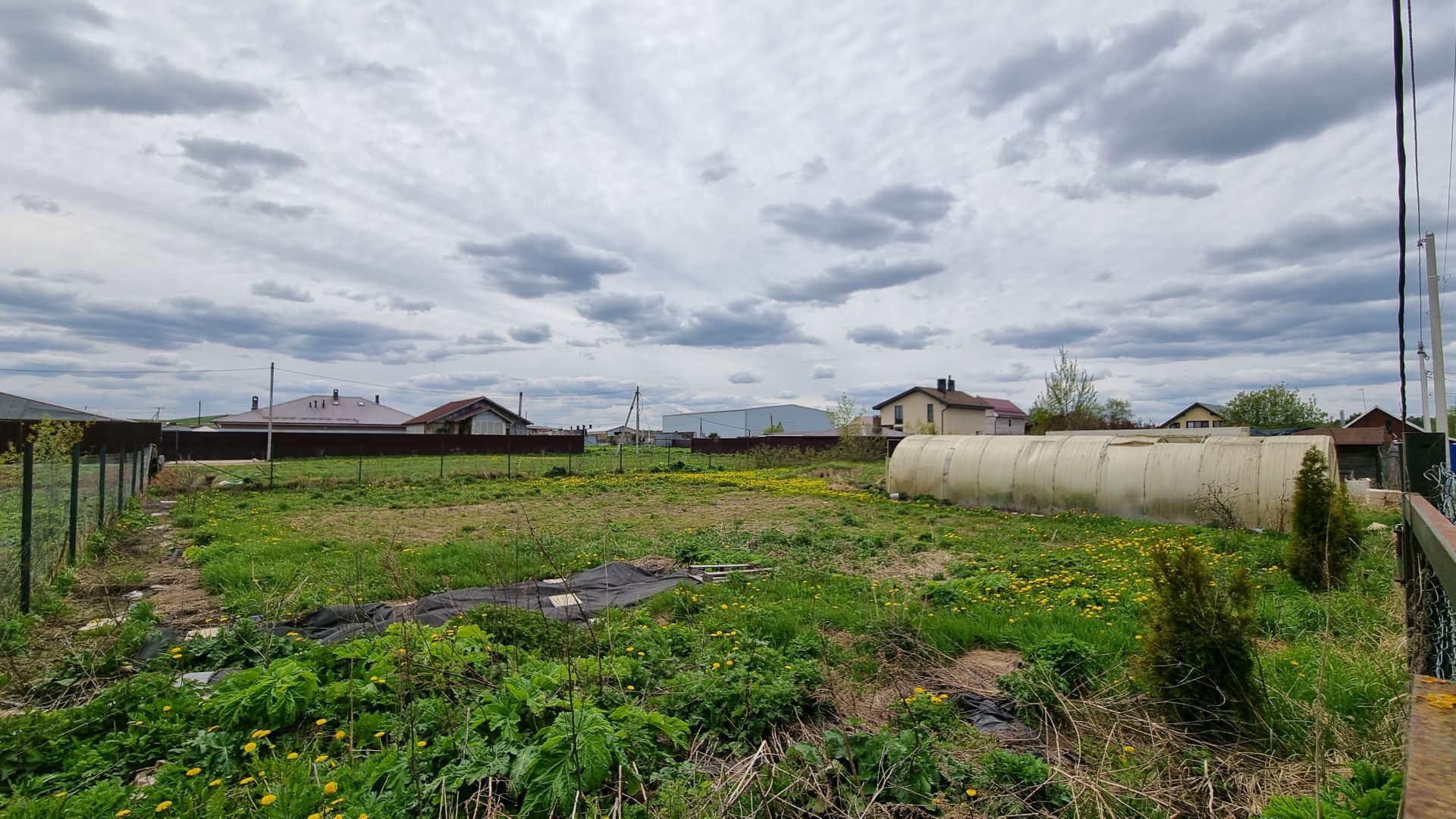 Земли поселения Московская область, городской округ Пушкинский, село Царёво