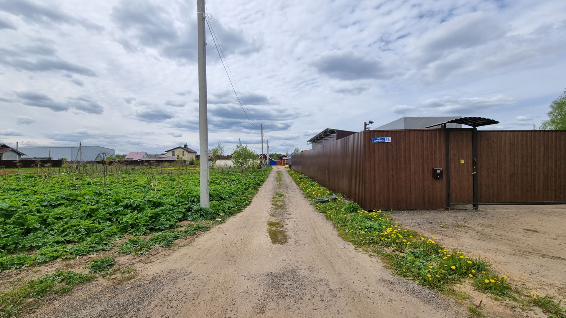 Земли поселения Московская область, городской округ Пушкинский, село Царёво