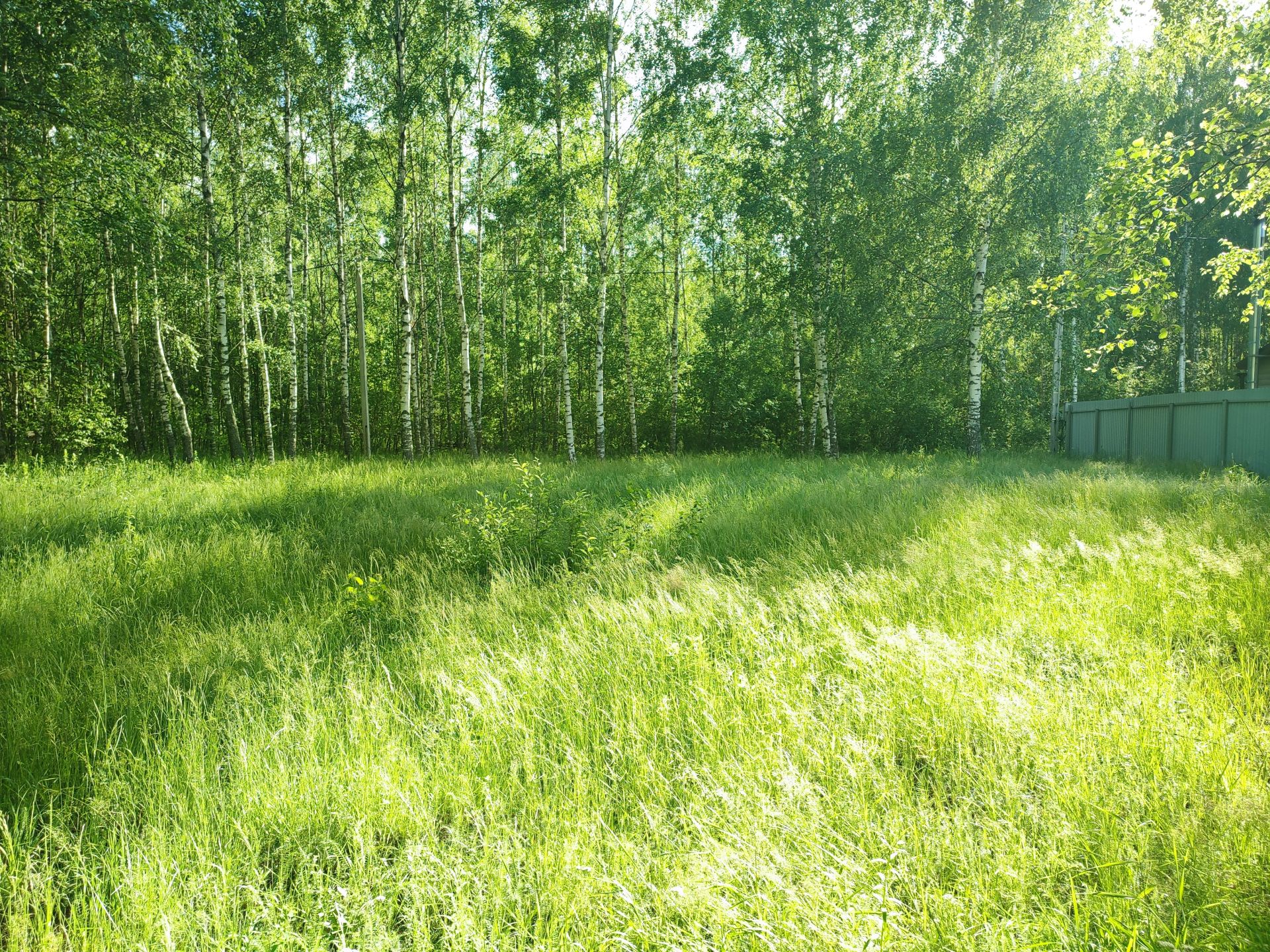 Земли сельхозназначения Московская область, Орехово-Зуевский городской округ, коттеджный посёлок Жемчужный, Рябиновая улица, 24