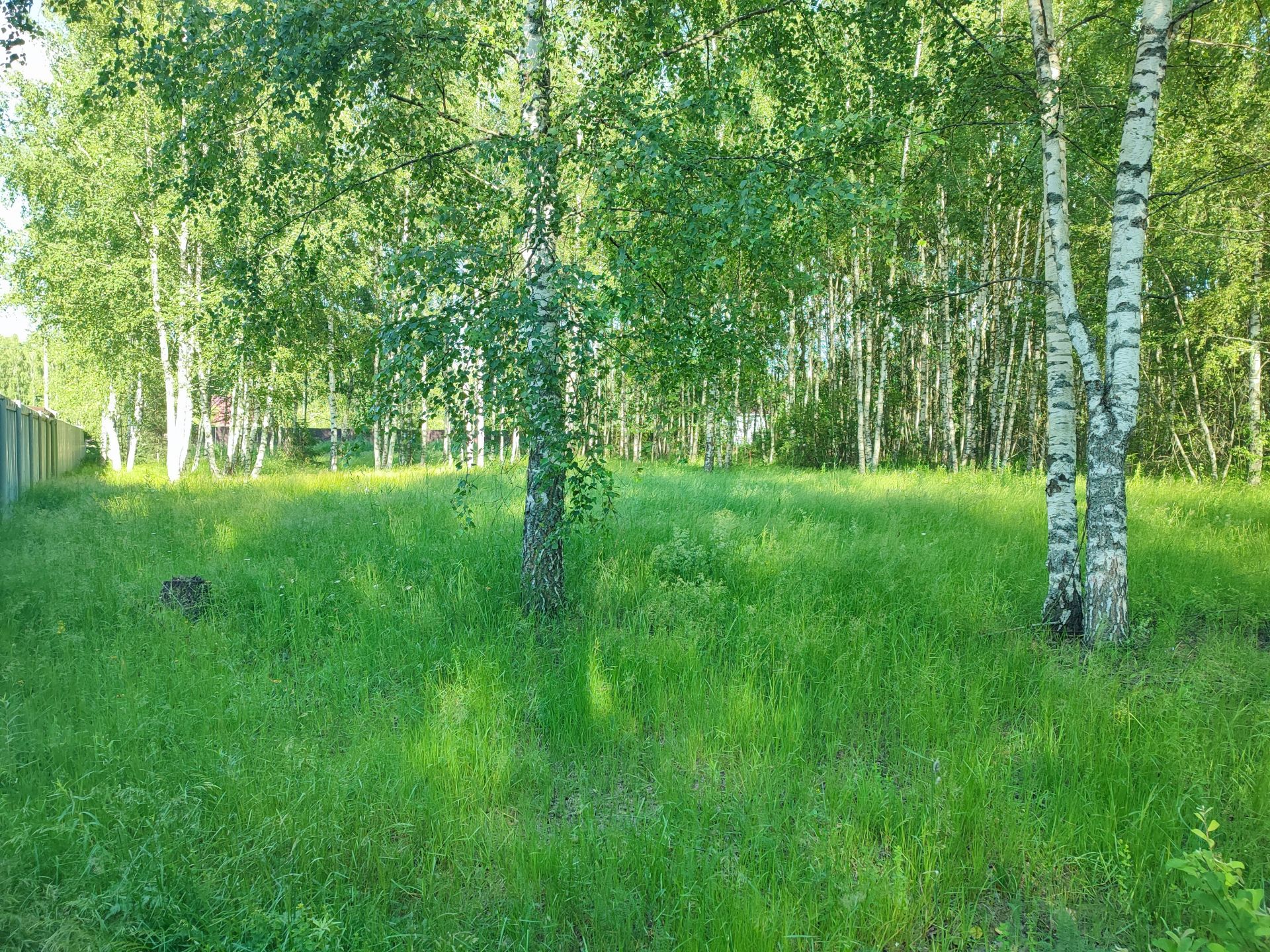 Земли сельхозназначения Московская область, Орехово-Зуевский городской округ, коттеджный посёлок Жемчужный, Рябиновая улица, 24