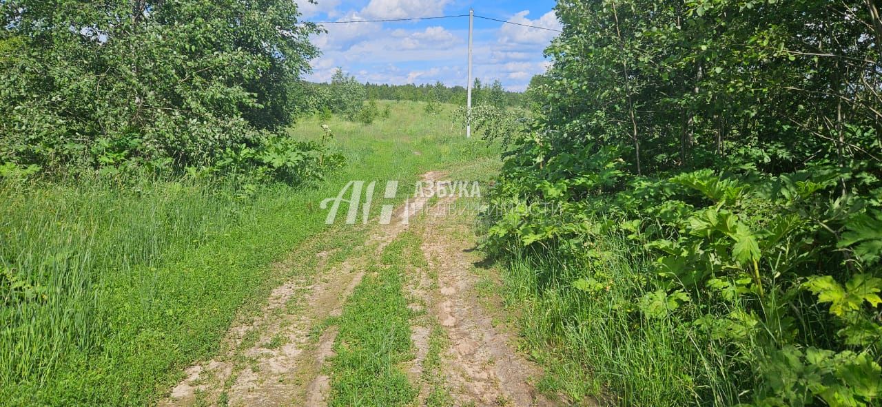 Земли поселения Московская область, Рузский городской округ, деревня Барынино, 86