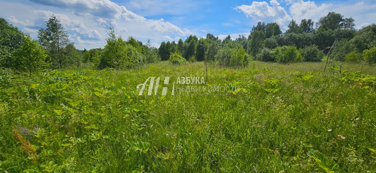 Земли поселения Московская область, Рузский городской округ, деревня Барынино, 86