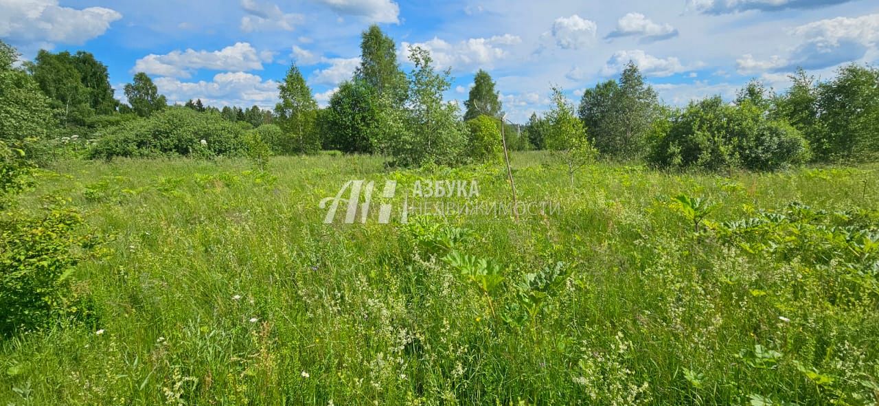 Земли поселения Московская область, Рузский городской округ, деревня Барынино, 86