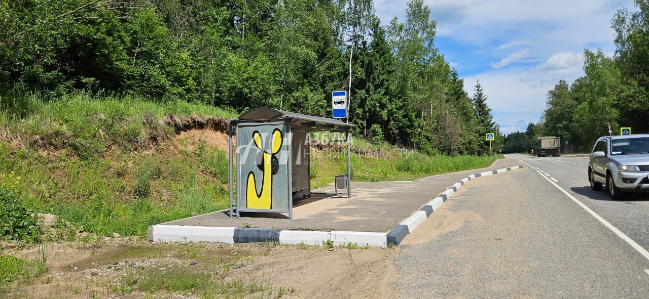 Земли поселения Московская область, Рузский городской округ, деревня Барынино, 86