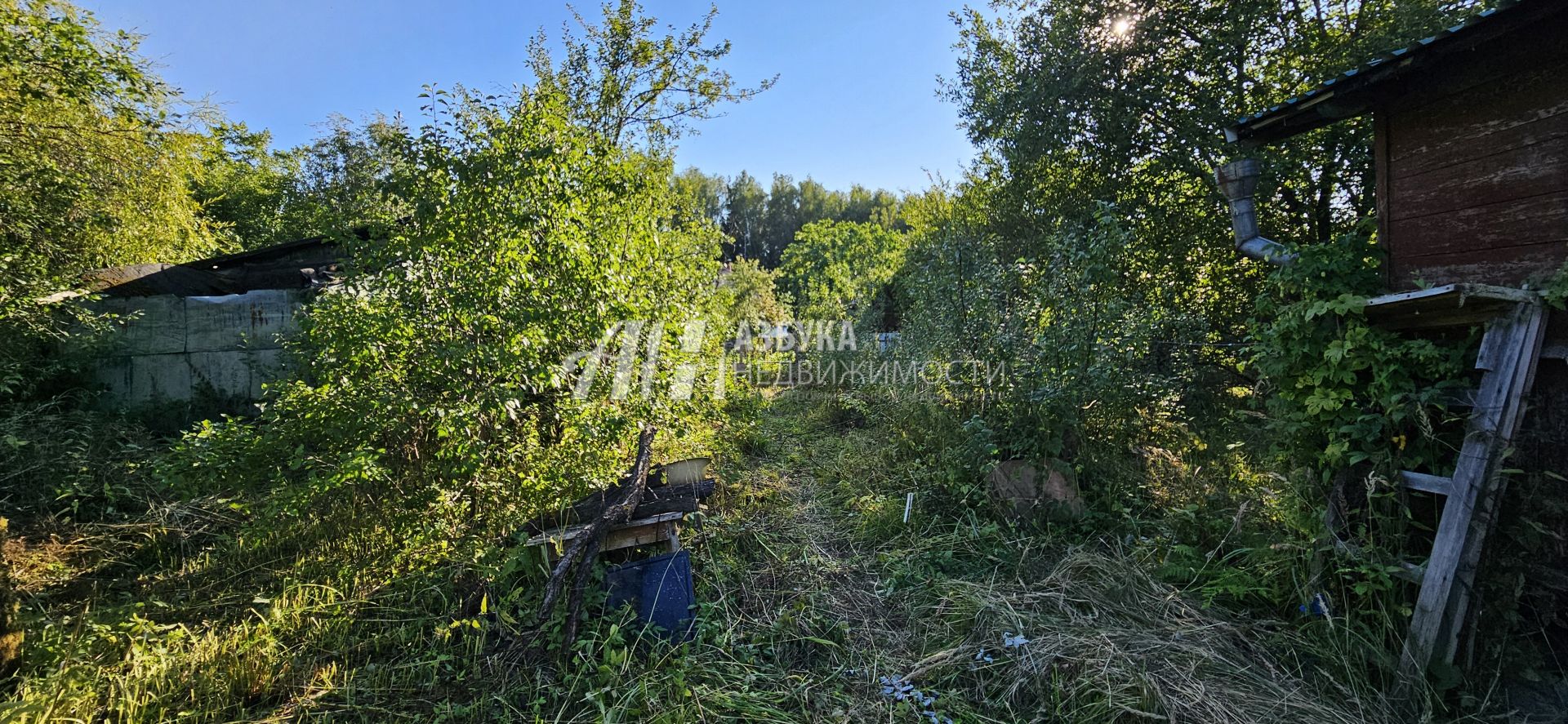 Дача Московская область, городской округ Истра, садовое товарищество Антоновка-ВНИИА