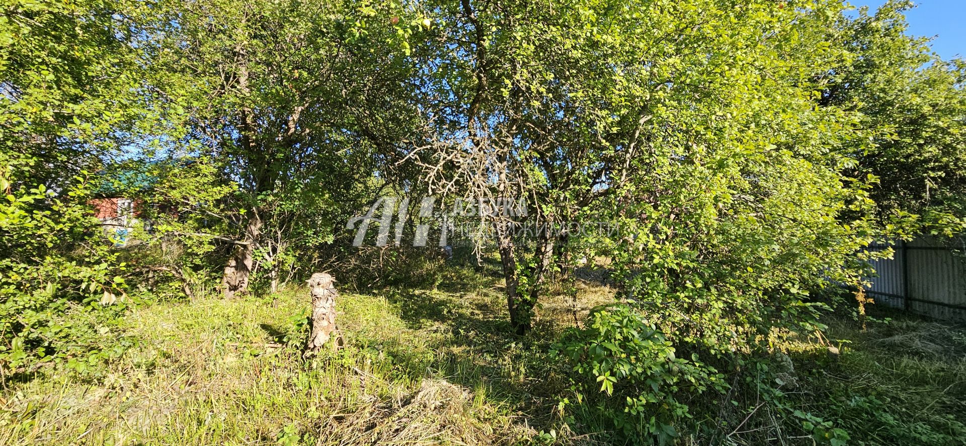 Дача Московская область, городской округ Истра, садовое товарищество Антоновка-ВНИИА