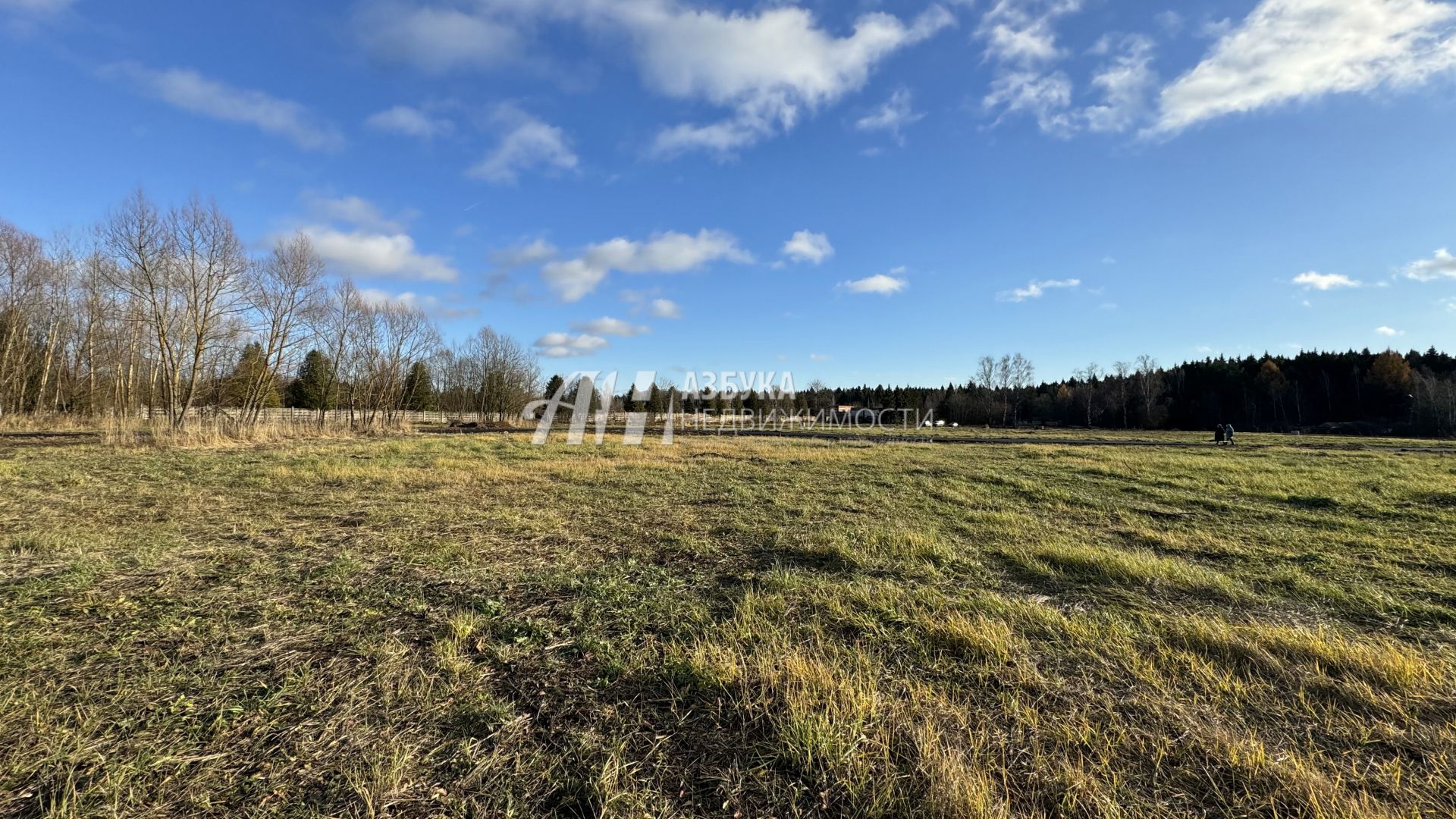 Земли поселения Московская область, городской округ Мытищи, село Марфино