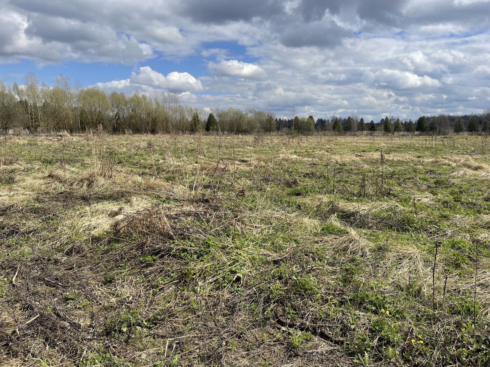 Земли поселения Московская область, городской округ Мытищи, село Марфино