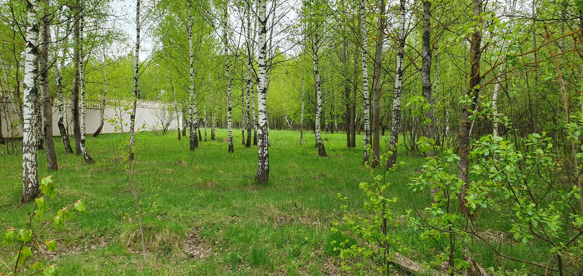 Земли поселения Московская область, Одинцовский городской округ, Голицыно, квартал Южный