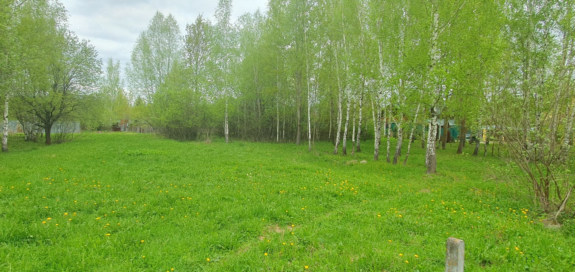 Земли поселения Московская область, Одинцовский городской округ, Голицыно, квартал Южный