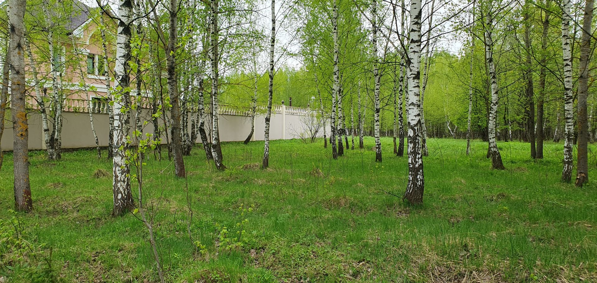 Земли поселения Московская область, Одинцовский городской округ, Голицыно, квартал Южный