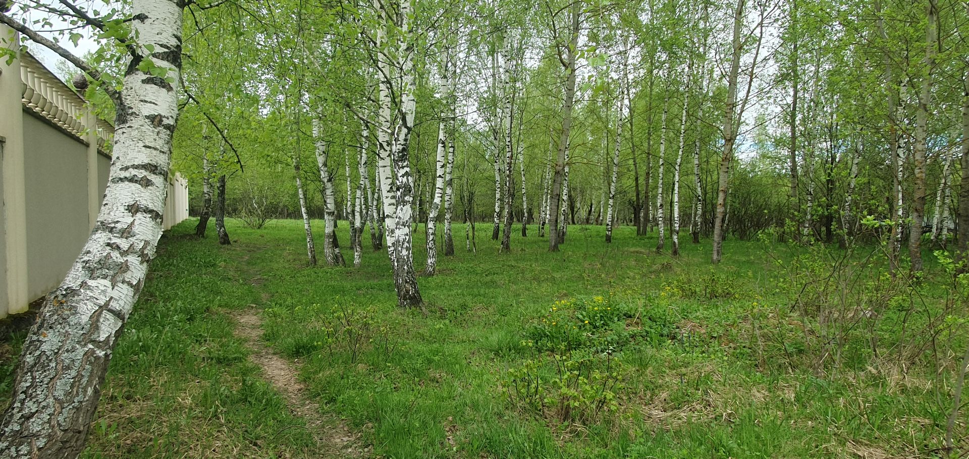 Земли поселения Московская область, Одинцовский городской округ, Голицыно, квартал Южный