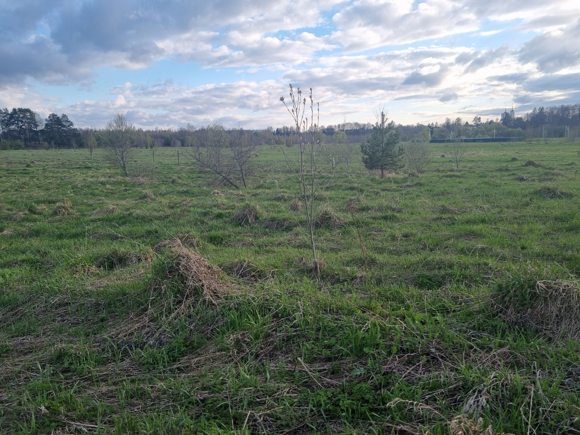 Земли поселения Московская область, Рузский городской округ, деревня Рыбушкино