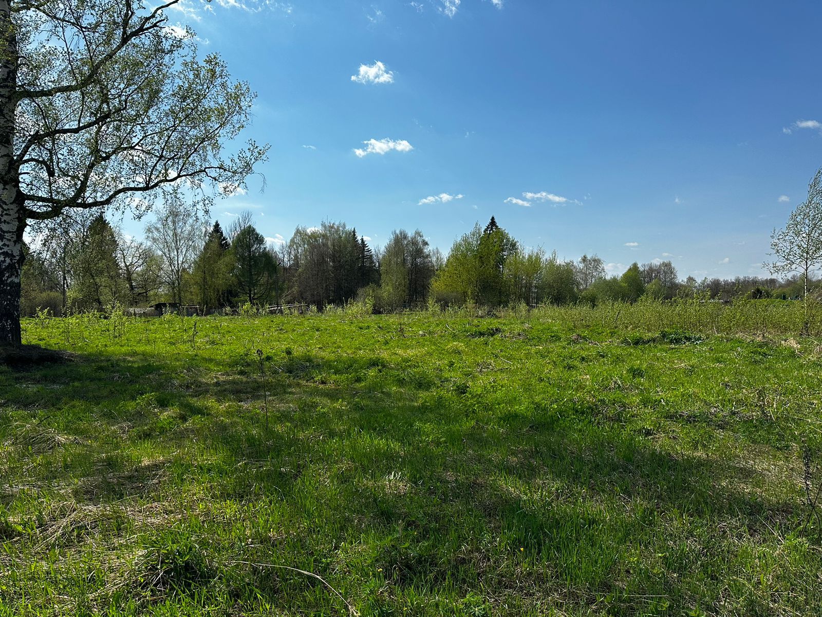 Земли поселения Московская область, городской округ Мытищи, село Марфино, Оранжерейная улица