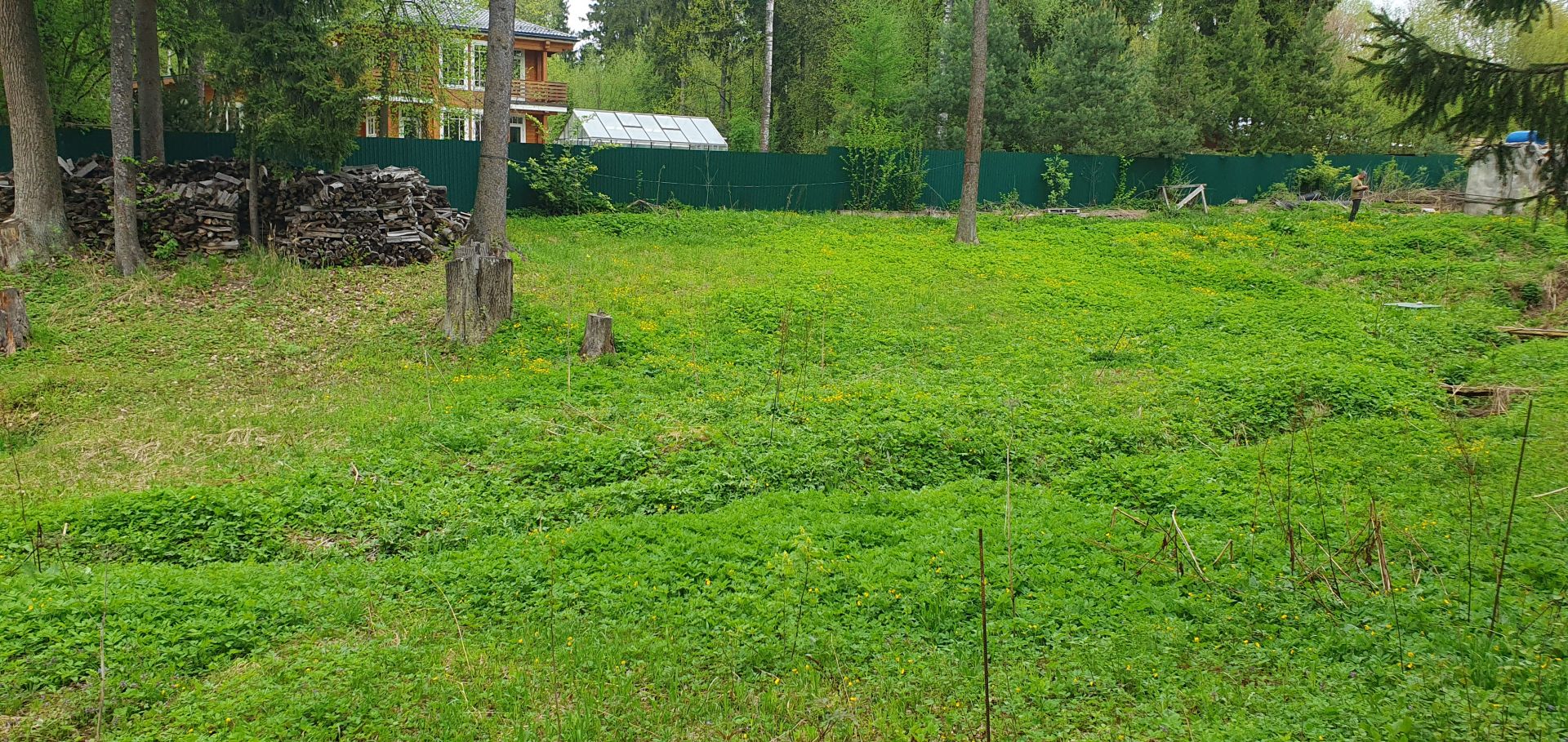 Земли поселения Московская область, Одинцовский городской округ, СНТ Назарьево-ДПК