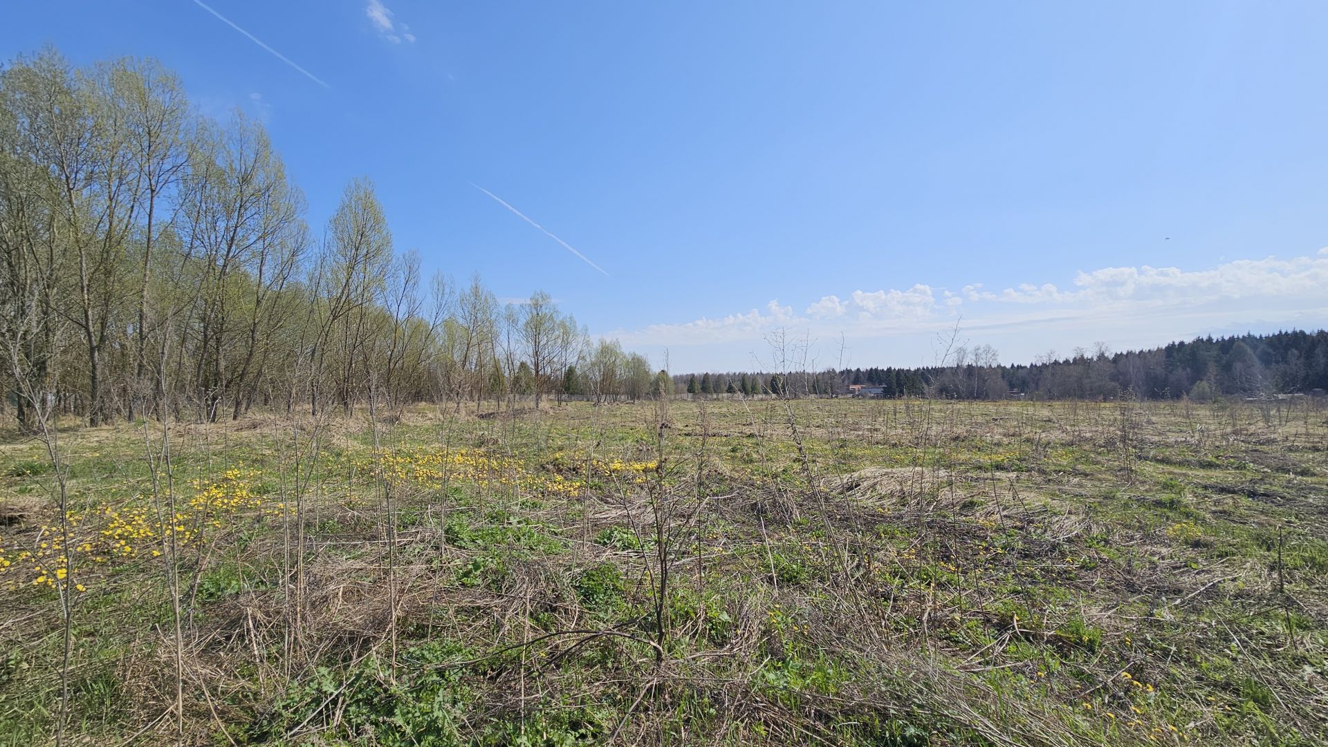 Земли поселения Московская область, городской округ Мытищи, село Марфино