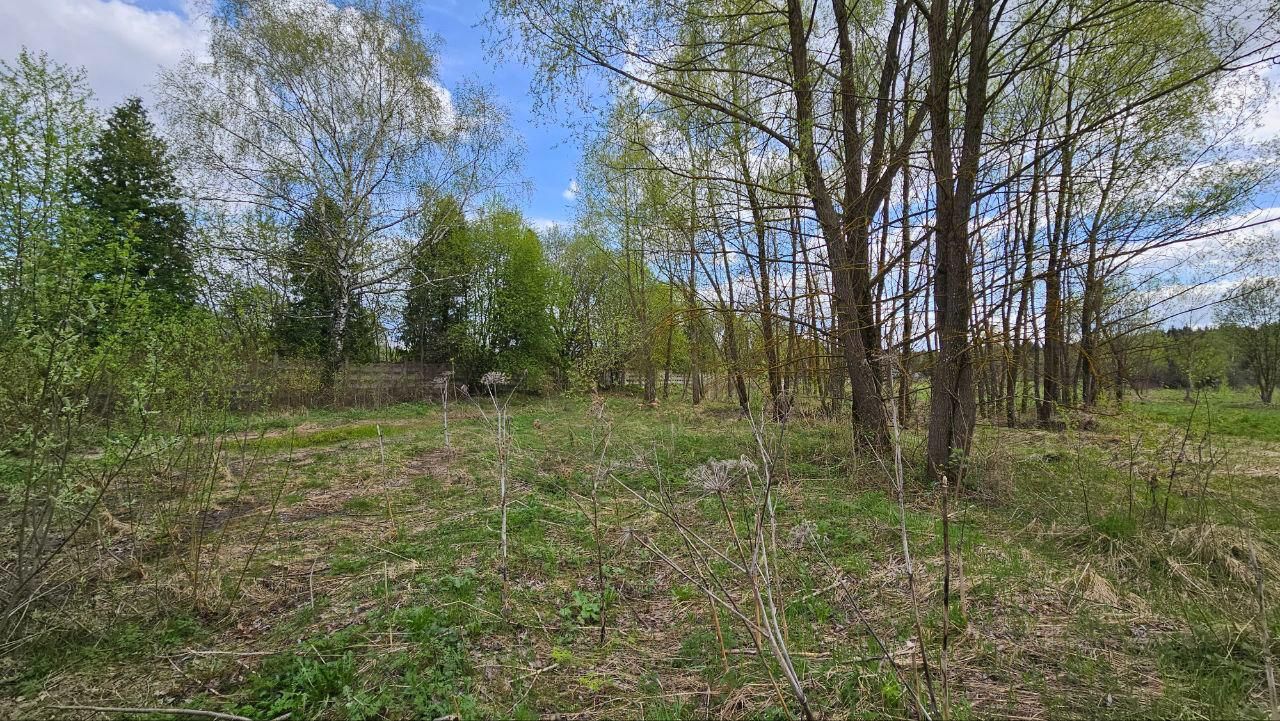 Земли поселения Московская область, городской округ Мытищи, село Марфино