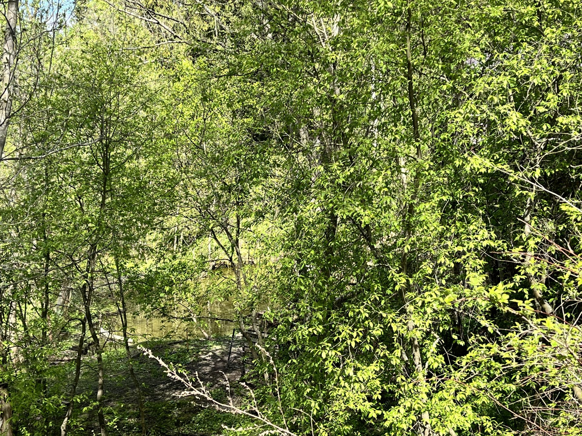 Земли поселения Московская область, городской округ Пушкинский, СНТ Раково